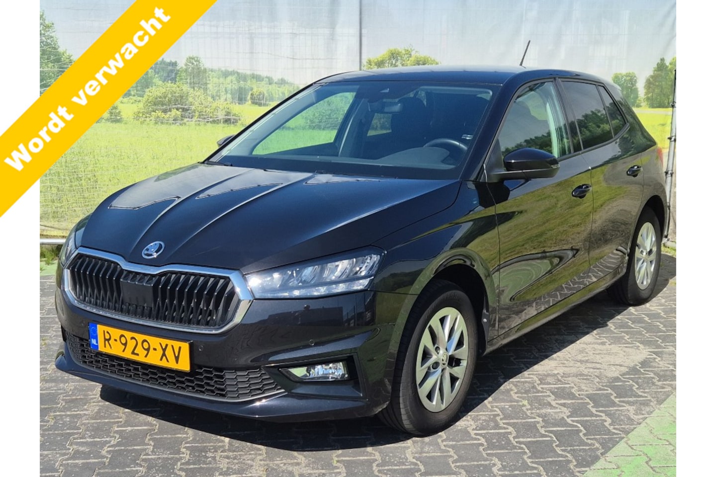 Skoda Fabia - 1.0 TSI, Carplay! Park Sensoren V+A! VERWACHT!! - AutoWereld.nl