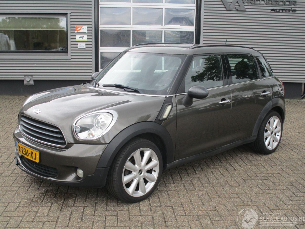 MINI Countryman - 1.6 Cooper Chili 1.6 Cooper Chili - AutoWereld.nl