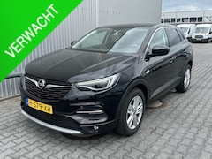 Opel Grandland X - 1.2 Turbo Business Executive*NAVI*ECC*CRUISE*HAAK