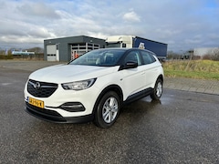 Opel Grandland X - 1.2 Turbo Business Edition