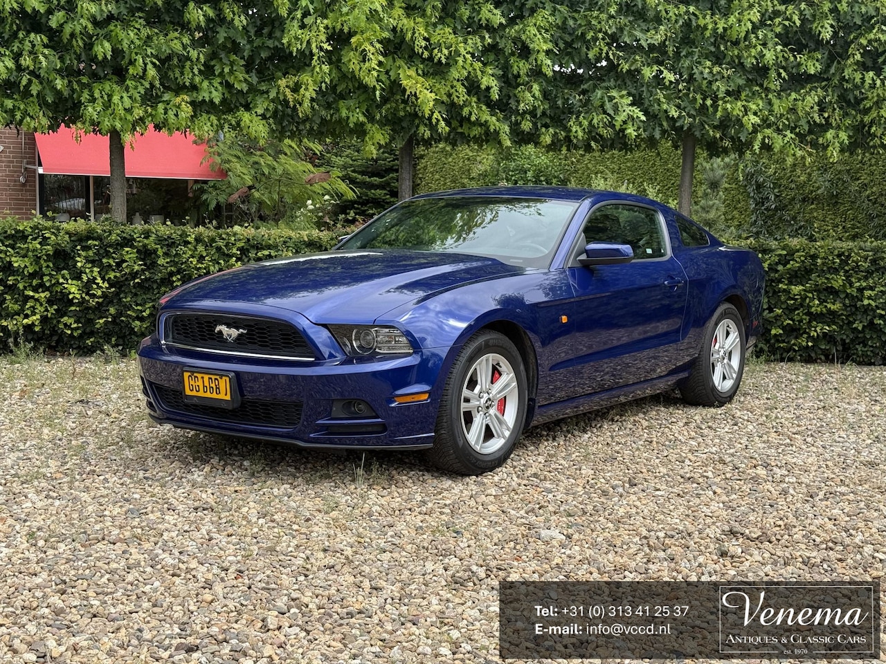 Ford Mustang - USA 3.7 V6 - AutoWereld.nl