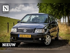 Volkswagen Polo - 1.4-16V Trendline| Nap | Dist vv | LM velgen