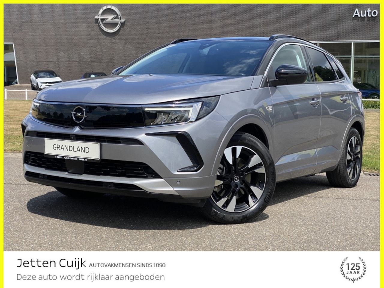 Opel Grandland - 1.6 Turbo Hybrid Elegance #RIJKLAAR# | AFN. TREKHAAK - AutoWereld.nl