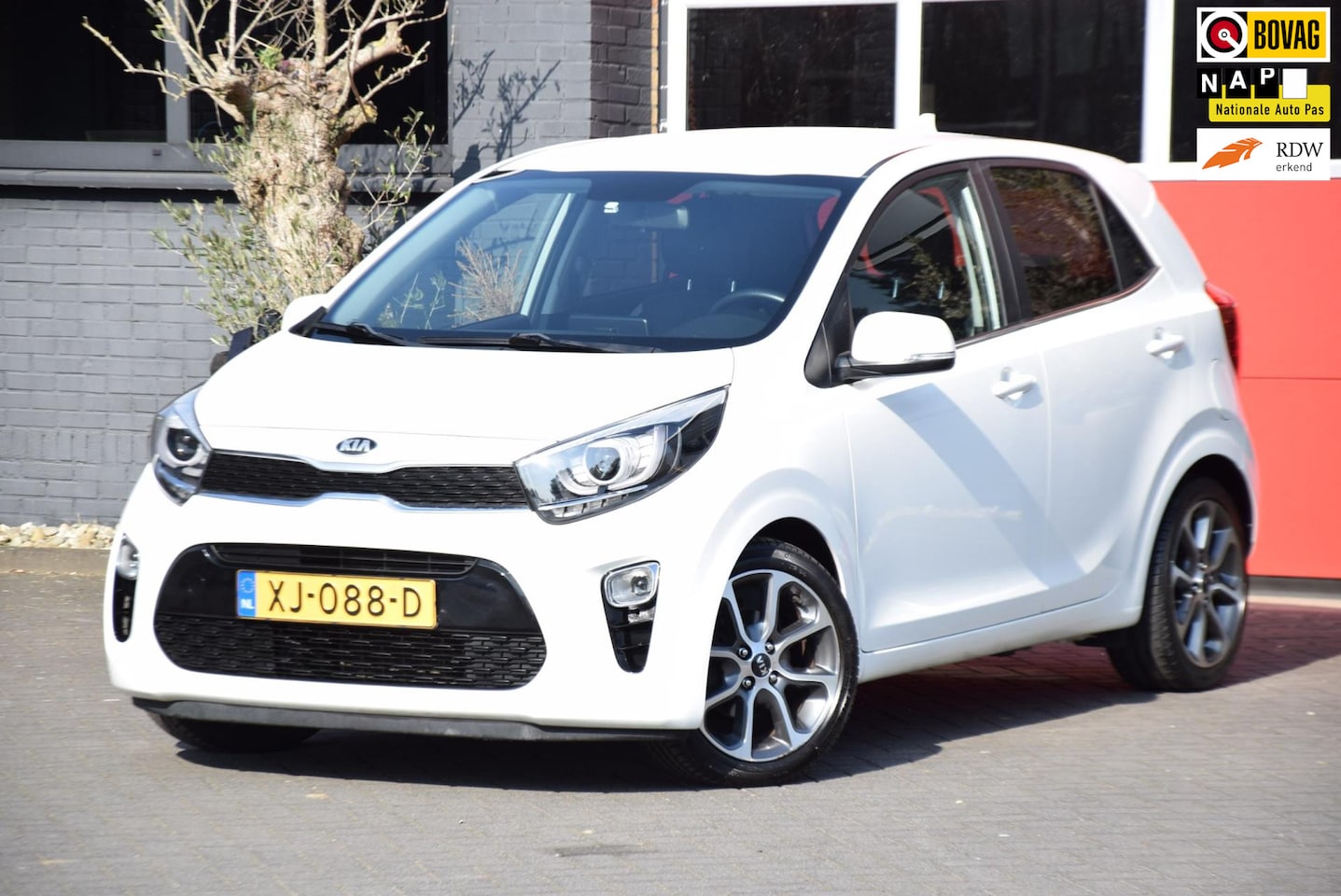 Kia Picanto - 1.0 CVVT Design Edition 2019 Navigator Navigatie 5 Deur Airco Cruise control Carplay - AutoWereld.nl