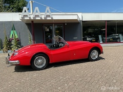 Jaguar XK - 140 OTS Top Conditie