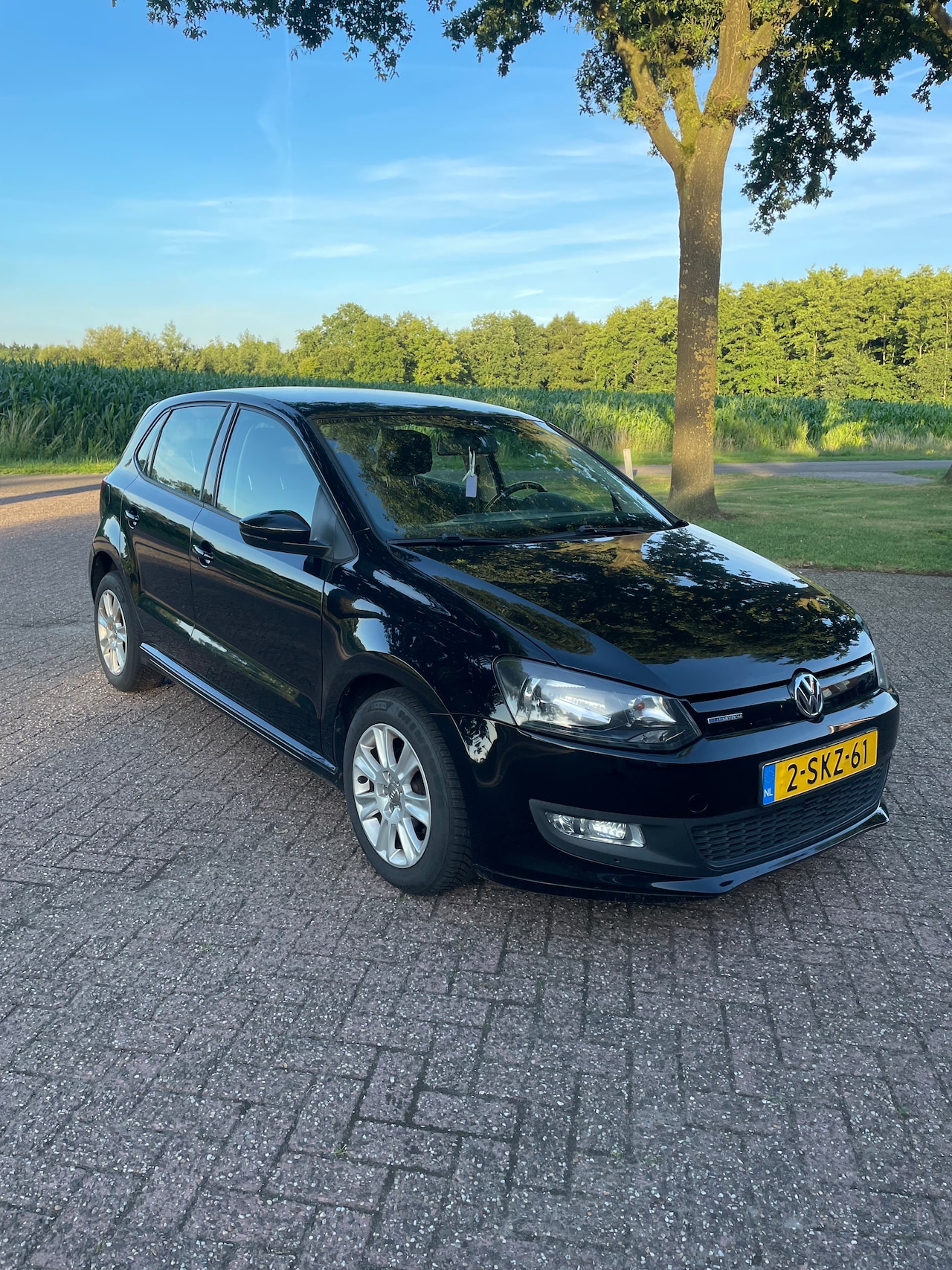 Volkswagen Polo - 1.2 TDI BlueMotion - AutoWereld.nl
