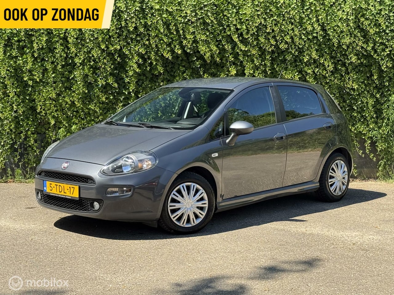 Fiat Punto Evo - 1.3 M-Jet | Zuinig | Alcantara| 5-Deurs - AutoWereld.nl