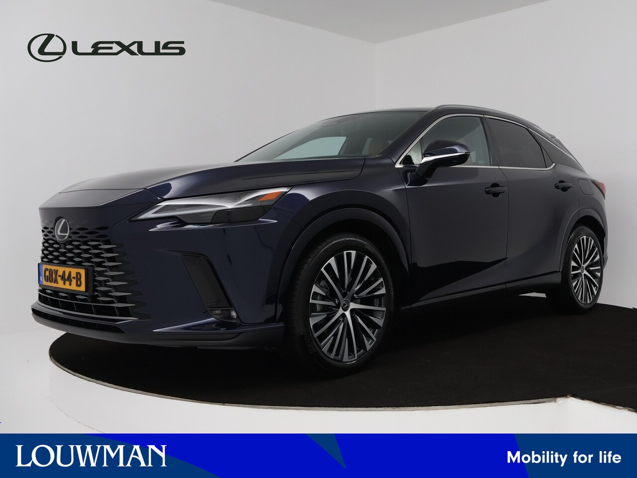 Lexus RX 450h - 450h+ Plug-in Hybrid Executive Line | Safety Pack | - AutoWereld.nl