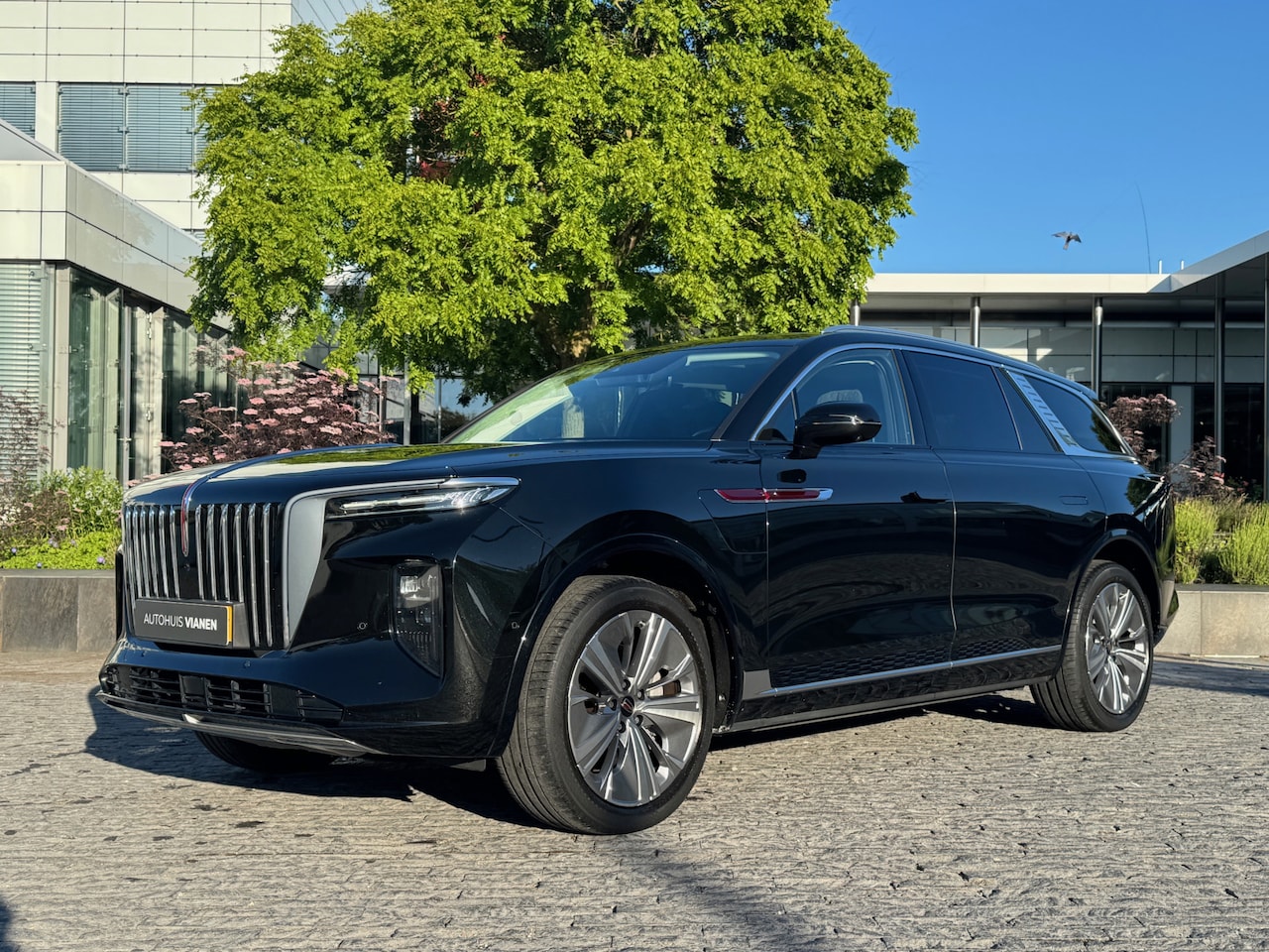 Hongqi E-HS9 - Business / - AutoWereld.nl