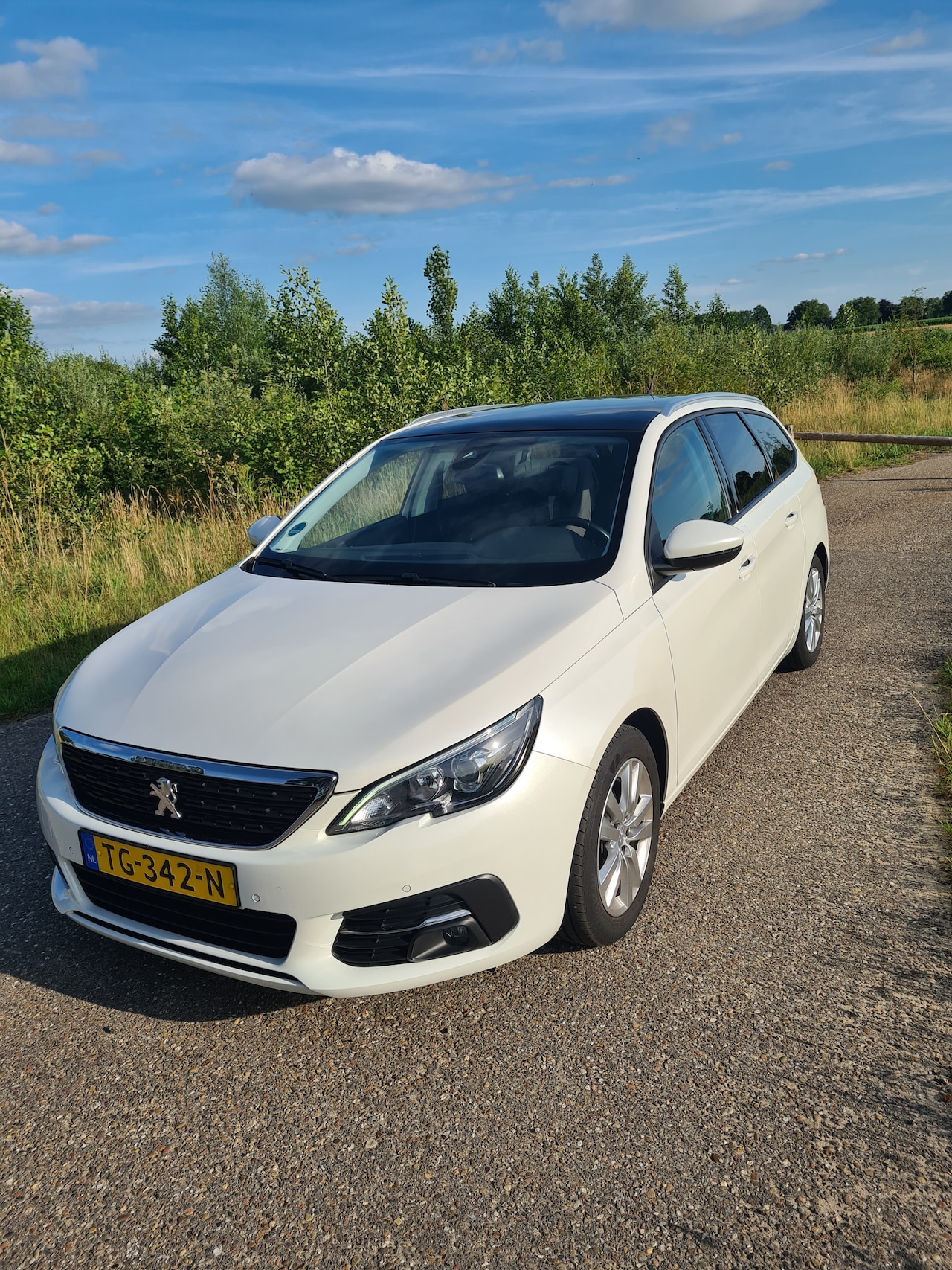 Peugeot 308 SW - 1.2 PureTech Blue Lease Executive - AutoWereld.nl