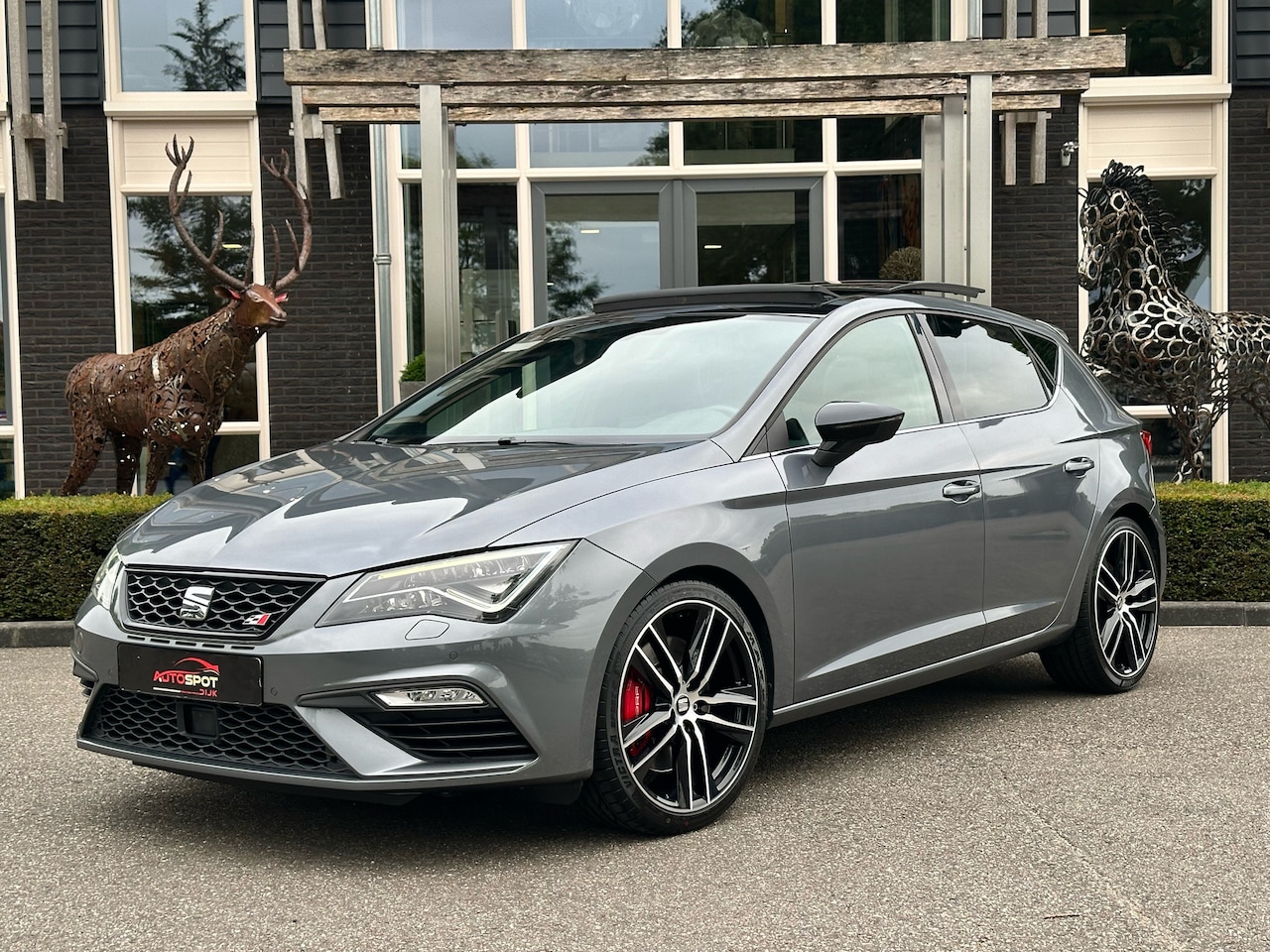 SEAT Leon - Cupra 300 - AutoWereld.nl