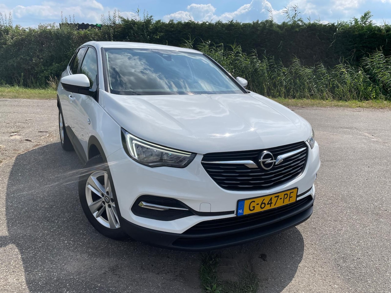 Opel Grandland X - 1.2 Turbo Business Edition - AutoWereld.nl