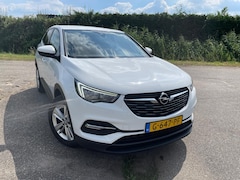 Opel Grandland X - 1.2 Turbo Business Edition