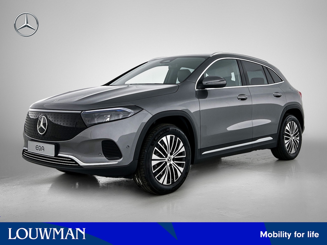 Mercedes-Benz EQA - 250+ Business Solution Luxury 71 kWh | Panoramaschuifdak in glas | Winter pakket | Dodehoe - AutoWereld.nl