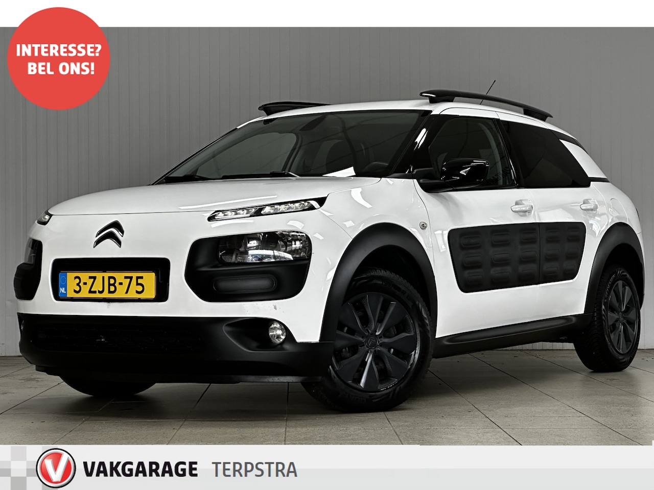 Citroën C4 Cactus - 1.6 BlueHDi Business/ D-Riem verv: 233.000 KM!/ Camera/ Trekhaak/ Navi/ Clima/ Cruise/ Ele - AutoWereld.nl