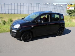 Fiat Panda - 1.2 Edizione Cool