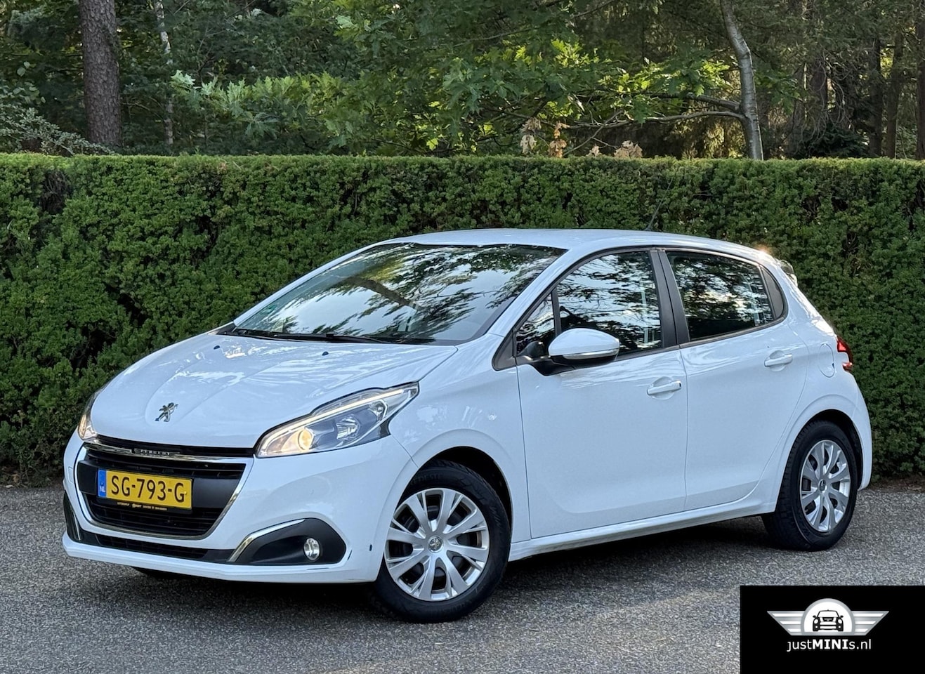 Peugeot 208 - 1.2 PureTech Blue Lion CarPlay NAVI 5-Deurs Trekh - AutoWereld.nl