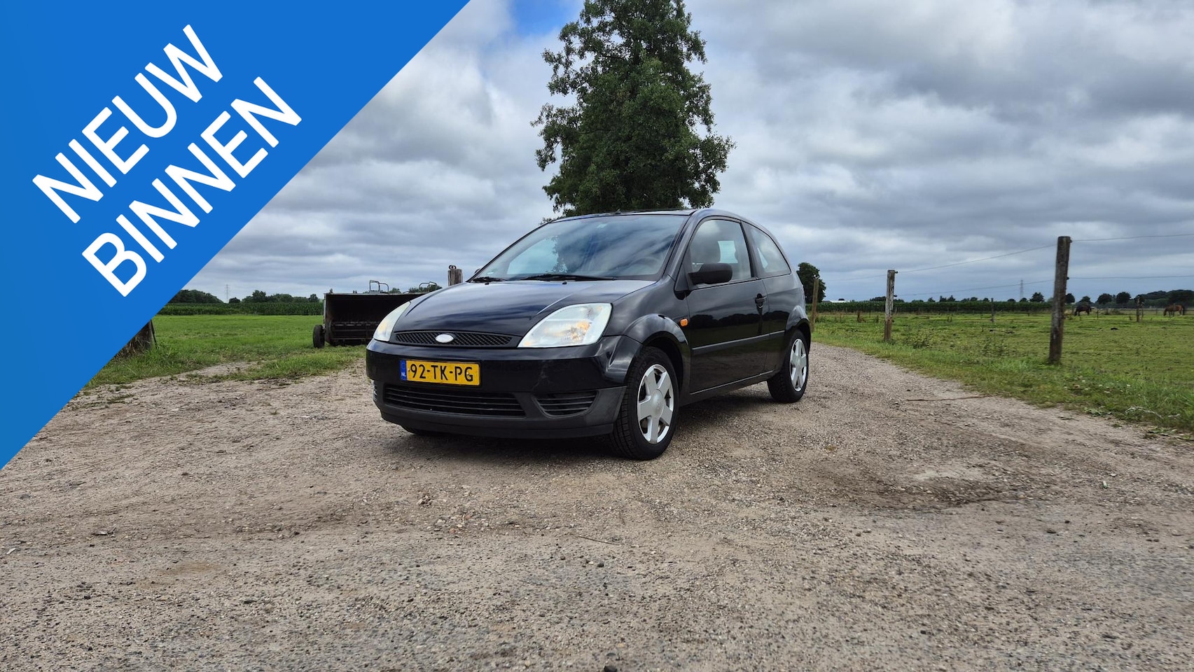 Ford Fiesta - 1.25-16V Centennial Zo meenemen | Geen garantie | APK tot oktober! - AutoWereld.nl