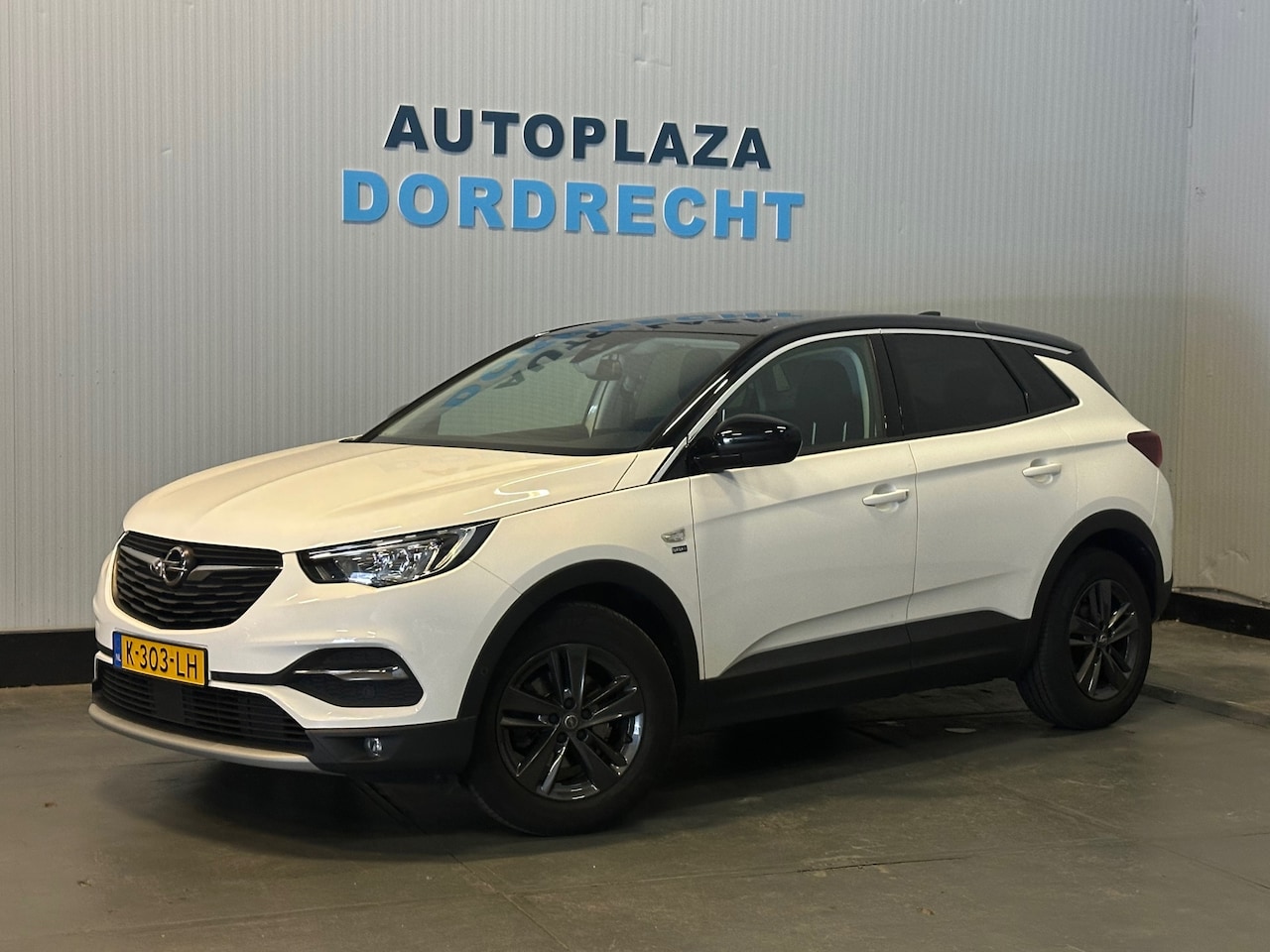 Opel Grandland X - 1.2 Turbo Edition 2020 Camera /Navi - AutoWereld.nl