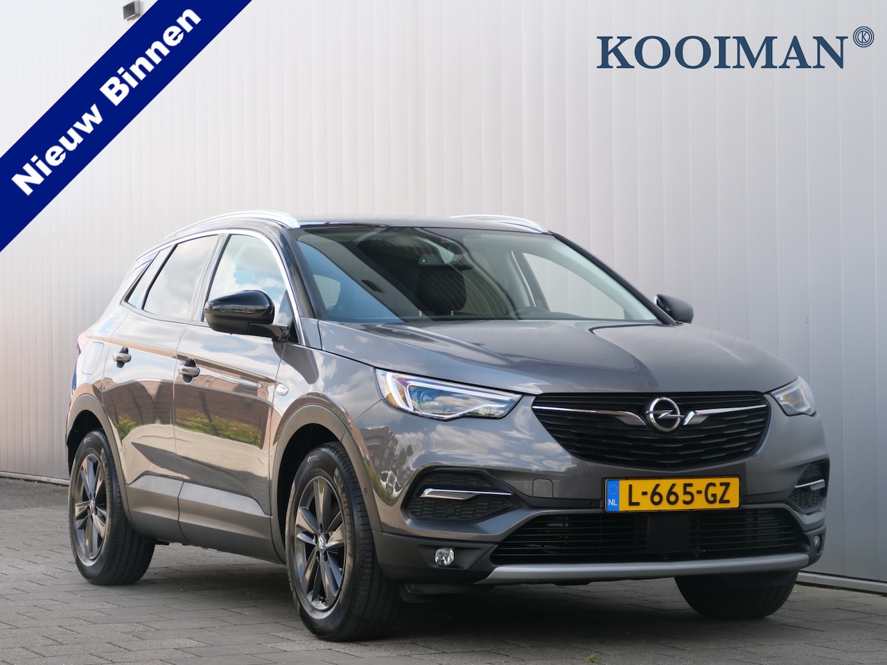 Opel Grandland X - 1.2 Turbo 130pk Business Executive Automaat LED / Navigatie / Camera / Trekhaak - AutoWereld.nl