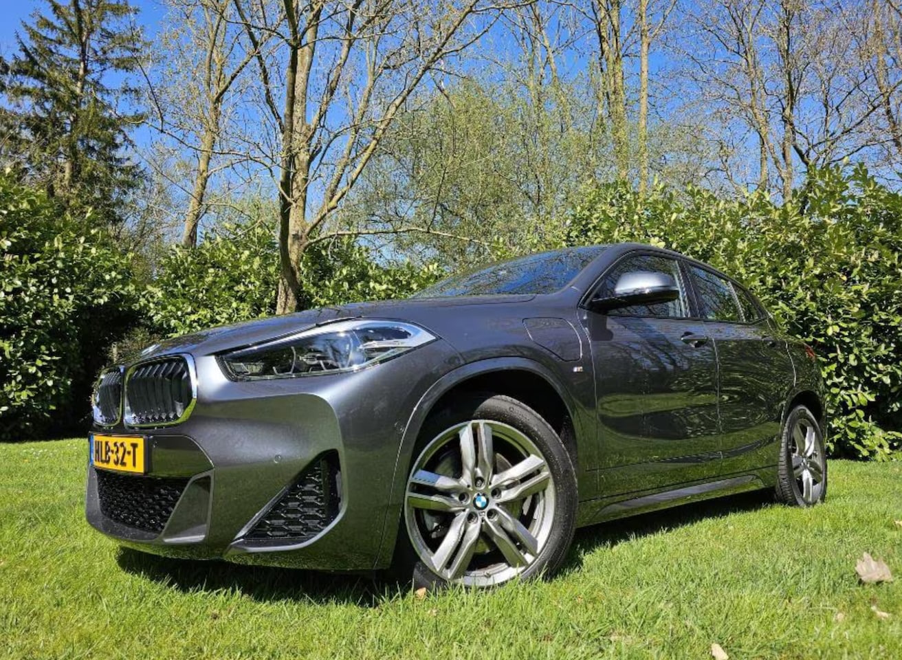 BMW X2 - xDrive25e Executive M-Pakket, EuroGarantie! Pano, Leder, 4x4 - AutoWereld.nl