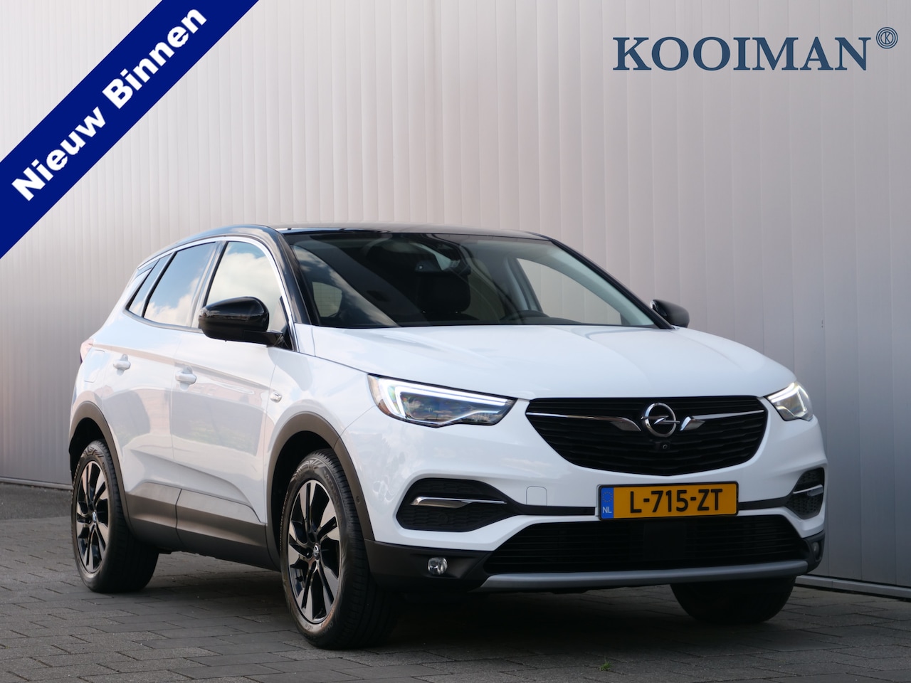 Opel Grandland X - 1.2 130pk Turbo Innovation Leder /  Stoelkoeling / Winterpakket / Navigatie / Camera - AutoWereld.nl