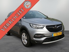 Opel Grandland X - 1.2 Turbo Bus. Ex. | Apple carplay | Camera achter | Navigatie |