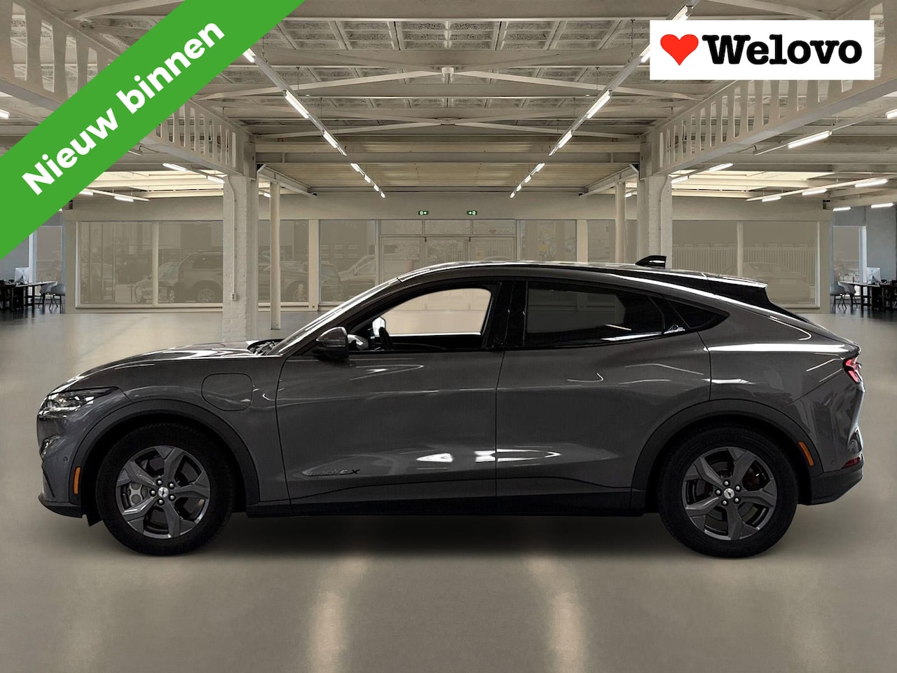 Ford Mustang Mach-E - Extended RWD 98 kWh Grote Accu ! Alle Opties ! - AutoWereld.nl