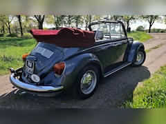 Volkswagen Kever Cabriolet - 1600