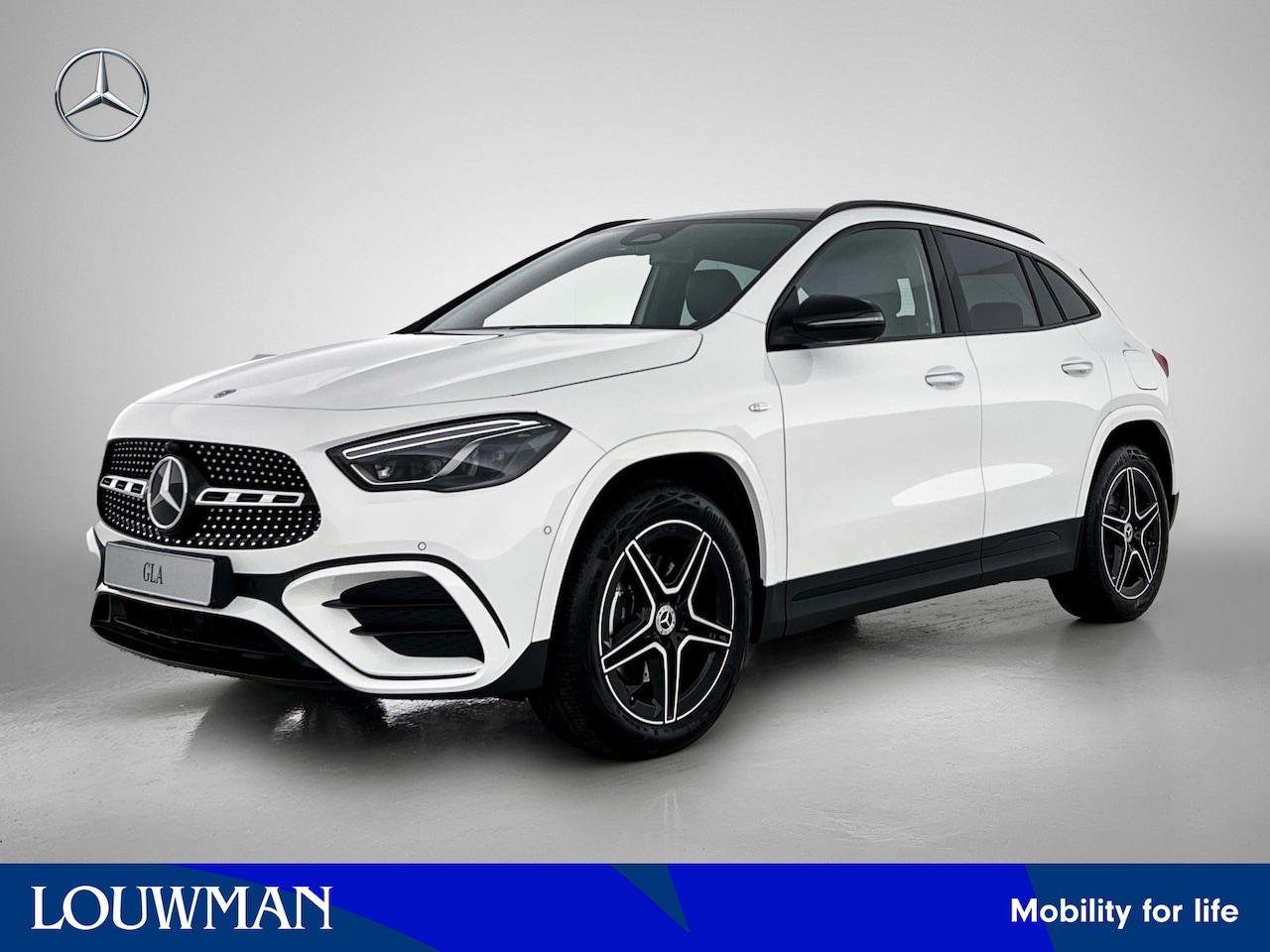 Mercedes-Benz GLA-Klasse - 250 e Business Solution AMG | Trekhaak | Nightpakket | EASY PACK achterklep | Parkeerpakke - AutoWereld.nl