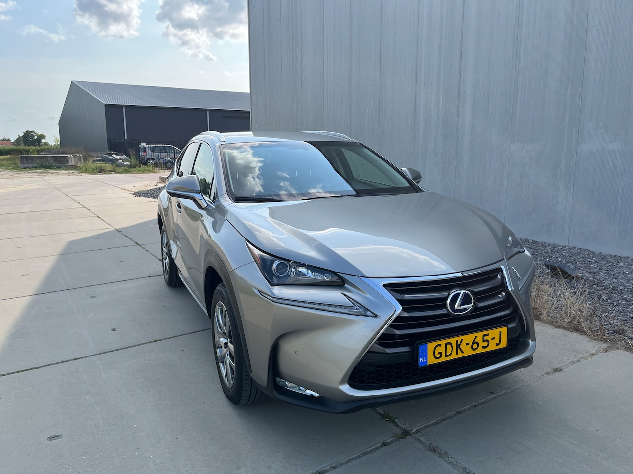 Lexus NX - 300h Executive Line - AutoWereld.nl