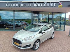 Ford Fiesta - 1.0 EcoBoost Titanium, Airco, Multimediasysteem, Bluetooth telefoonverbinding, Cruise cont