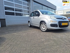 Fiat Panda - 1.2 Edizione Cool