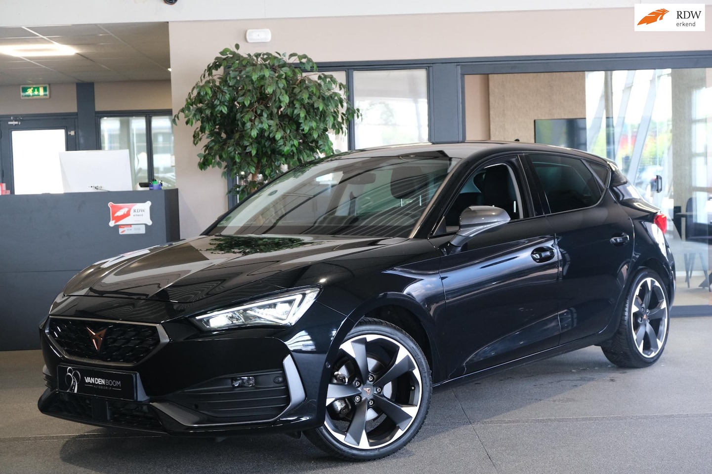 CUPRA Leon - 1.5 eTSI 150pk Navi ACC PDC Sfeerverlichting NW model - AutoWereld.nl