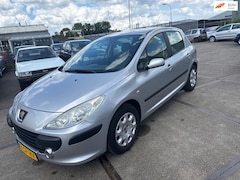 Peugeot 307 - 1.6-16V XT Inruil Mogelijk
