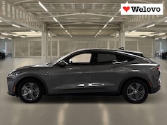 Ford Mustang Mach-E - Extended RWD 98 kWh Grote Accu Alle Opties