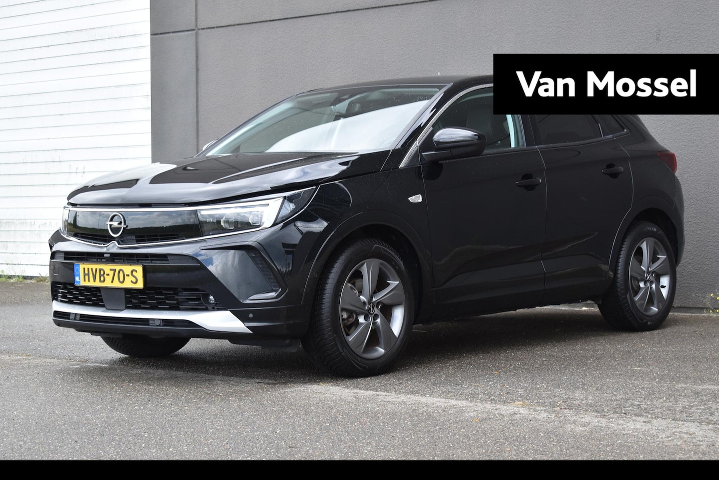 Opel Grandland - 1.2 Turbo Business Elegance 1.2 Turbo Business Elegance - AutoWereld.nl