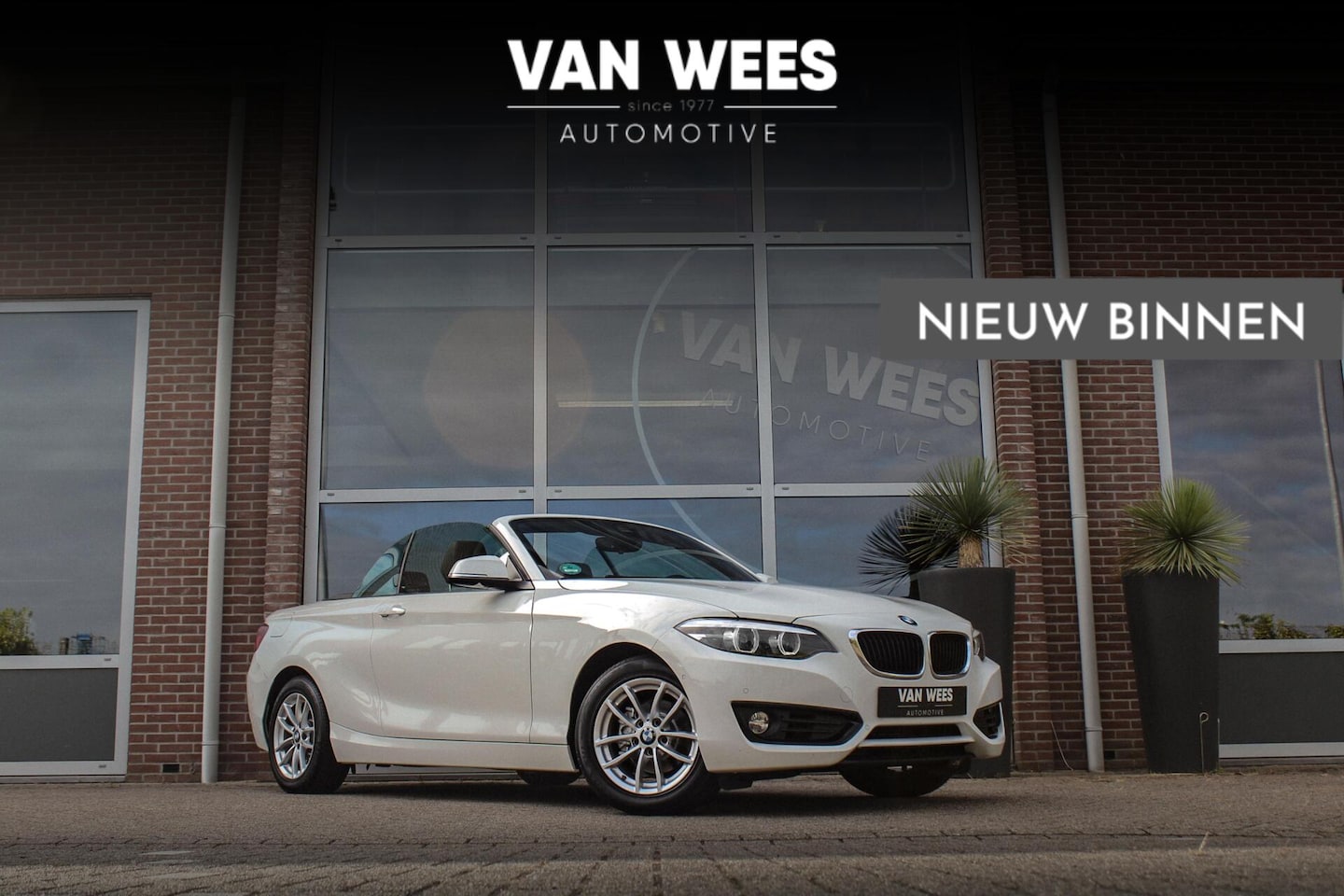BMW 2-serie Cabrio - 218i F23 Executive | 2e eigenaar | Origineel | Sportstoelen | Stoelverwarming | DAB | Harm - AutoWereld.nl