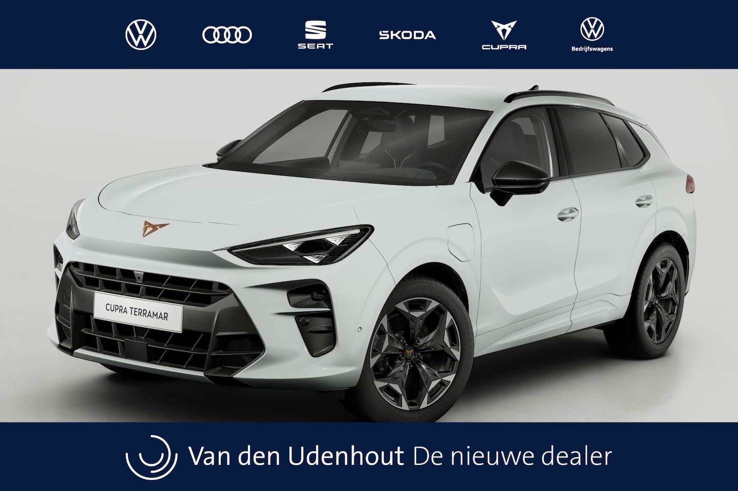 CUPRA Terramar - 1.5 TSI e-Hybrid 272 6DSG VZ Performance | 360 graden camera | Achteruitrijcamera | Draadl - AutoWereld.nl