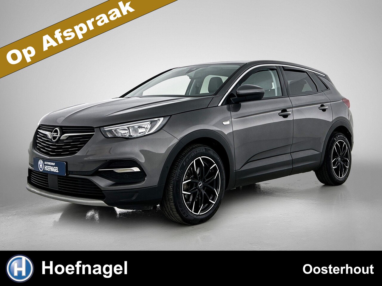 Opel Grandland X - 1.2 Turbo Business Executive Automaat | Trekhaak | Apple CarPlay | Blind Spot Warning | Pa - AutoWereld.nl