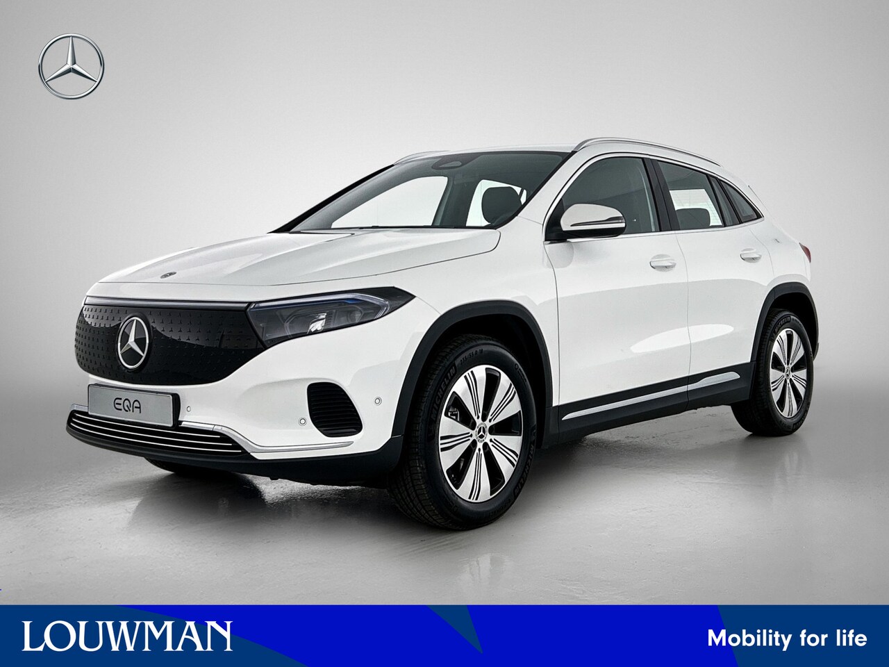Mercedes-Benz EQA - 250+ Business Solution 71 kWh | Parkeerpakket met achteruitrijcamera | Extra USB-poorten | - AutoWereld.nl