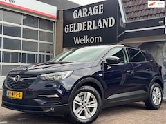 Opel Grandland X - 1.2 Turbo Business Executive| Full-Led | Apple/Android | Cruise | Climate | Stoelverw. | N