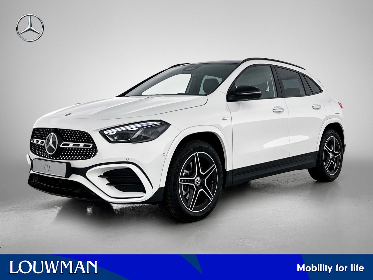 Mercedes-Benz GLA-Klasse - 250 e Business Solution AMG | Nightpakket | Premium Plus pakket | Parkeerpakket met 360°-c - AutoWereld.nl