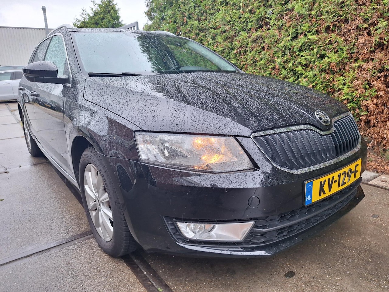 Skoda Octavia Combi - 1.6 TDI Greentech Ambition Business 1.6 TDI Greentech Ambition Business - AutoWereld.nl
