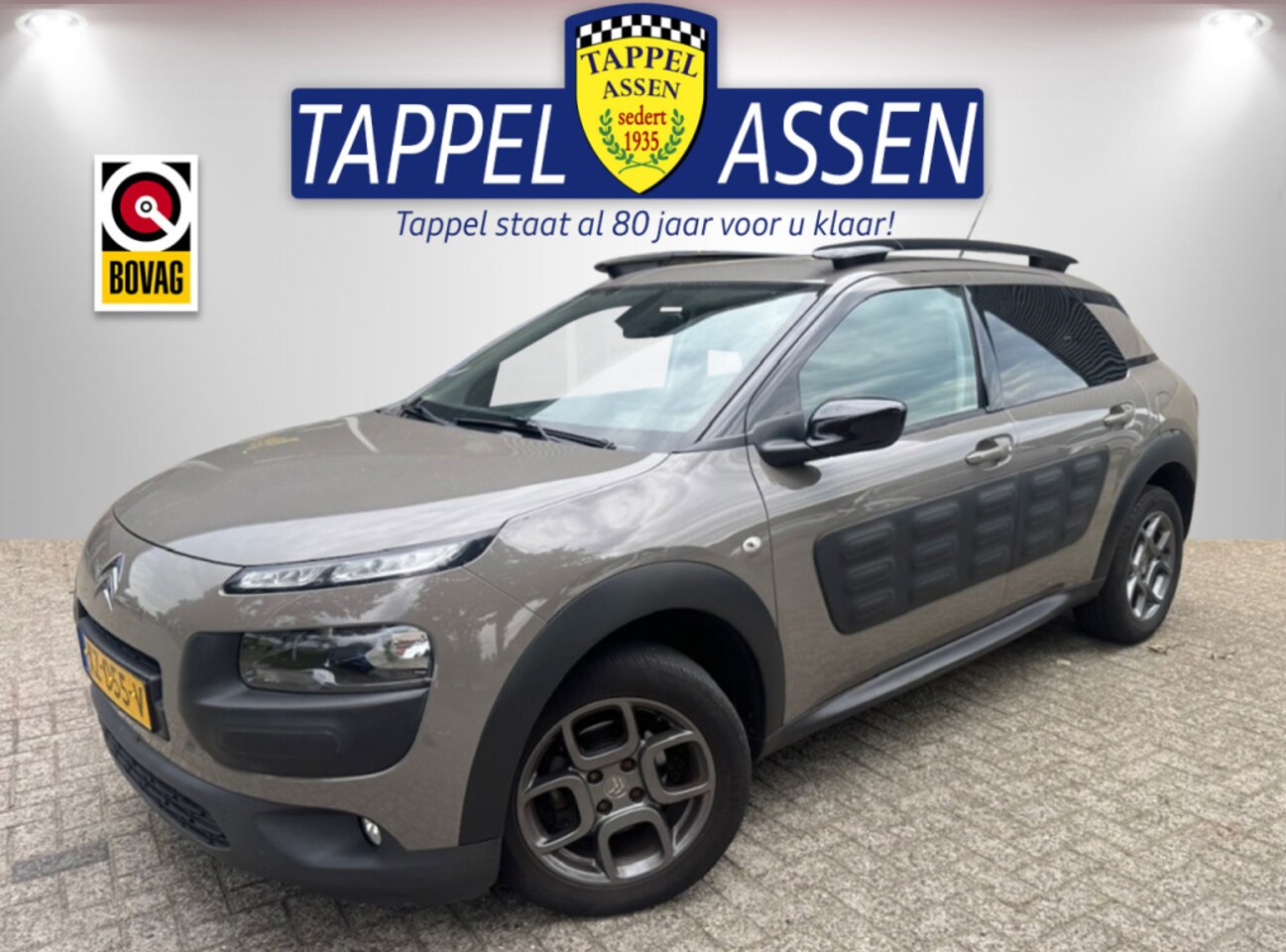 Citroën C4 Cactus - 1.2 PureTech Shine AUTOMAAT!! - AutoWereld.nl