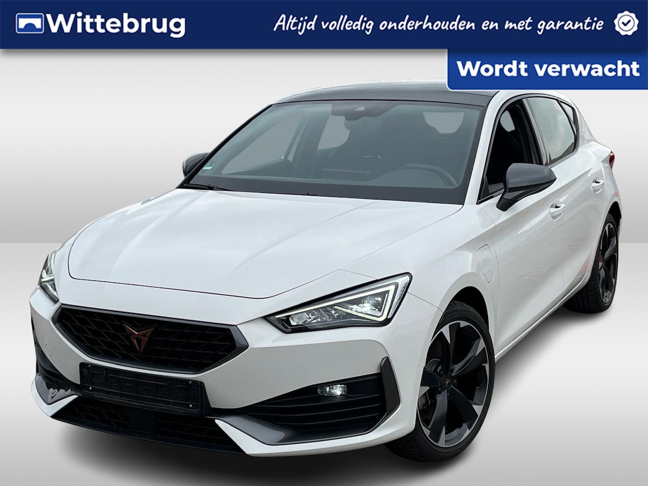 CUPRA Leon - 1.4 e-Hybrid 204PK Performance / Panoramadak / Kuipstoelen / Digitale Cockpit /  Parkeerse - AutoWereld.nl