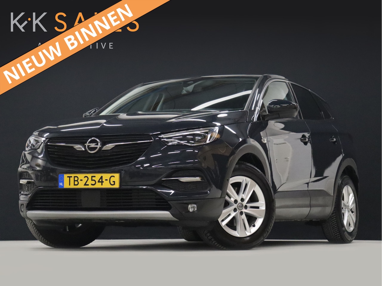 Opel Grandland X - 1.2 Turbo Business Executive [STUUR/STOEL VERWARMING, LED, APPLE/ANDROID, NAVIGATIE, CRUIS - AutoWereld.nl
