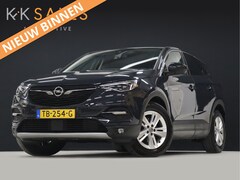 Opel Grandland X - 1.2 Turbo Business Executive [STUUR/STOEL VERWARMING, LED, APPLE/ANDROID, NAVIGATIE, CRUIS