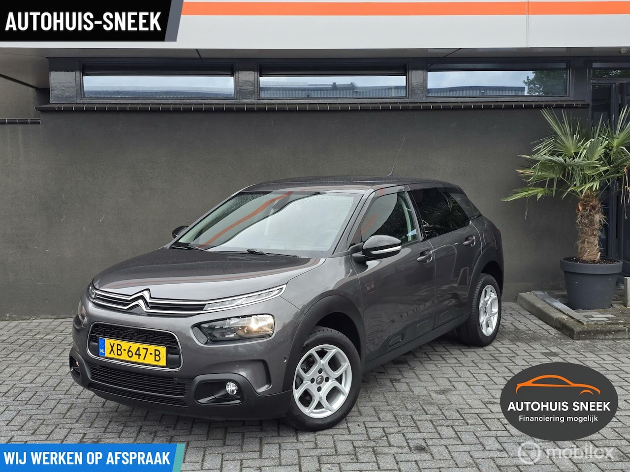 Citroën C4 Cactus - 1.2 PureTech Feel | Nieuw model | Trekhaak - AutoWereld.nl