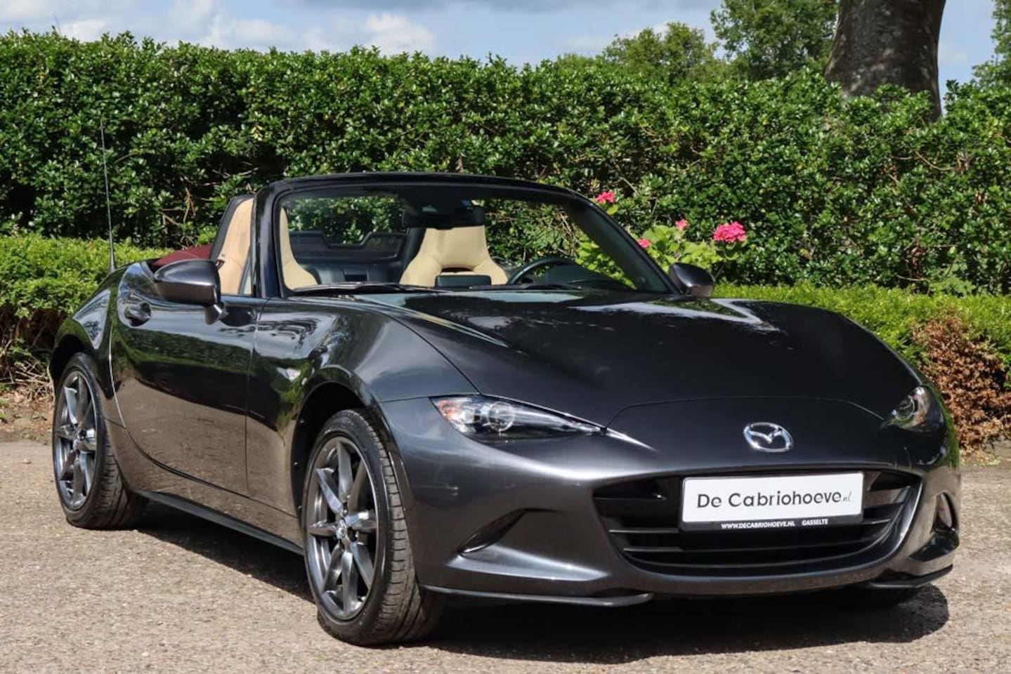 Mazda MX-5 - ND 2.0l SkyActiv-G 160 GT-M Machine Grey Metallic Sakura - AutoWereld.nl
